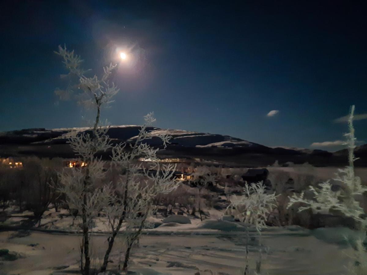 Naali Moekki Hotel Kilpisjärvi Kültér fotó